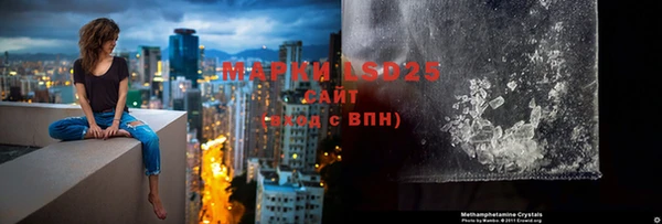 трава Медвежьегорск
