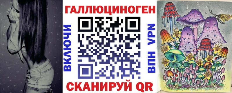 Псилоцибиновые грибы GOLDEN TEACHER  магазин продажи   Черноголовка 